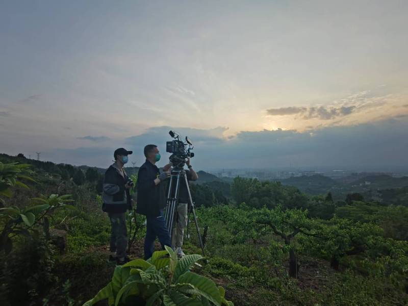 创意破圈！颍东区电商产品宣传视频用故事化叙事引爆流量