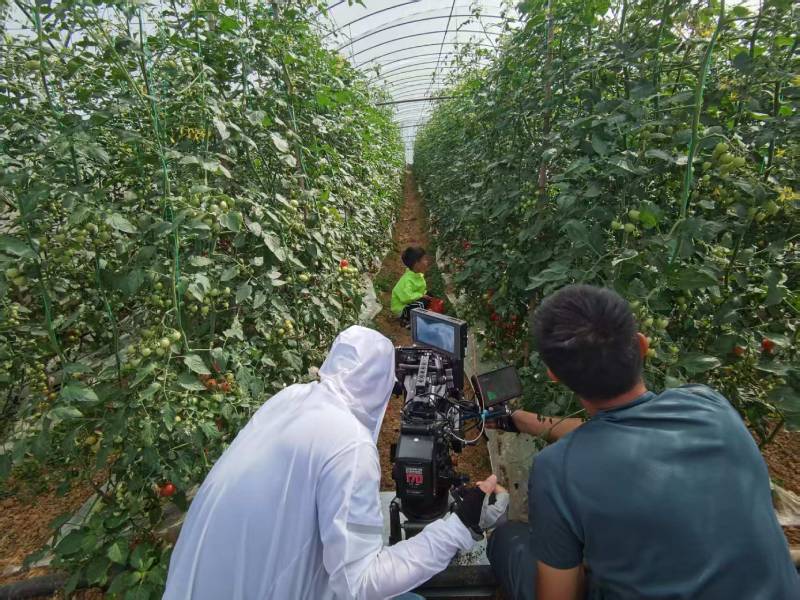 颍东区产品宣传视频拍摄公司进阶指南，助力品牌抢占传播高地